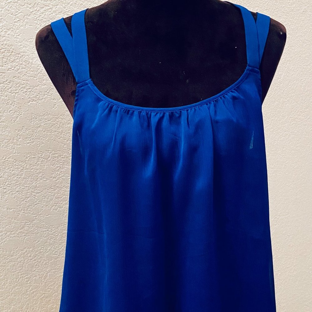 Express Sheer Electric Blue Light Summer Top - Size Medium